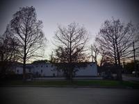 Matt Harlan photo