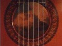 John Martin Classical Guitarist photo