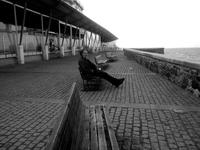 Ilias Anastasopoulos photo