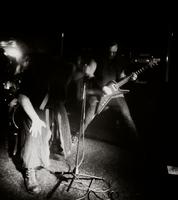 Bestia photo