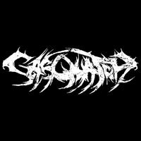 SASQUATCH photo