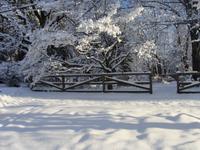 Neal Phillips photo