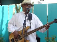 Bluesman Mike & The Blues Review Band photo
