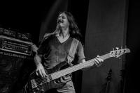Bryan Beller photo