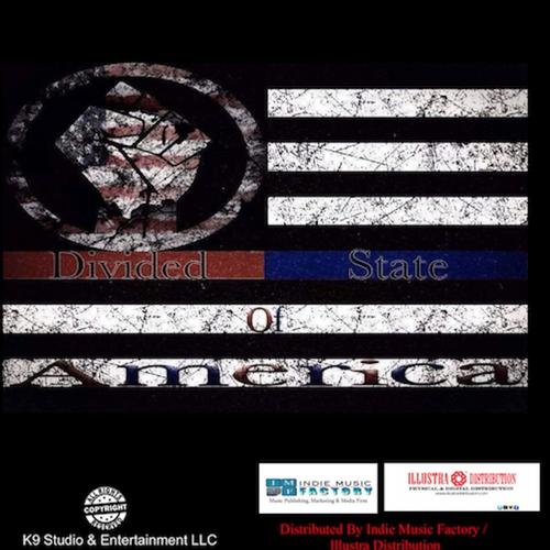 Divided State Of America cover