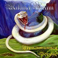 Waking Dream photo