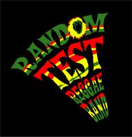 Random Test Reggae Band photo