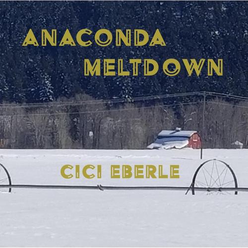 Anaconda Meltdown cover