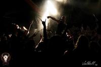 Necromass photo