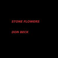 Don Beck photo