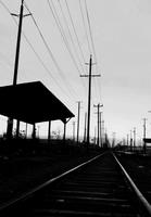 Mark Branscombe photo