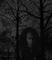 Nocturnal Solitude photo