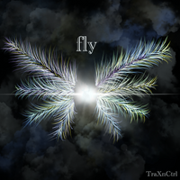 TraXnCtrl photo
