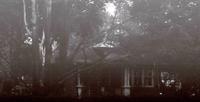 THE iNTENSIONS photo