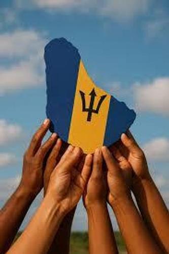 Profile photo hands_raising_bim_map_flag_colours.jpg