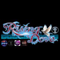 Dodging Dove photo