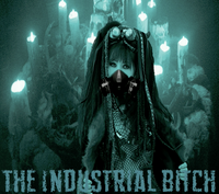 The Industrial Bitch photo