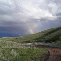 JP Westbrook photo
