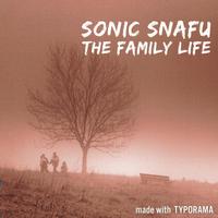 Sonic Snafu photo