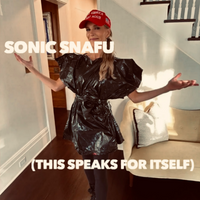 Sonic Snafu photo