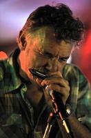 Johnny Hoy and the Bluefish photo