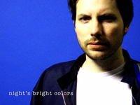 Night's Bright Colors photo