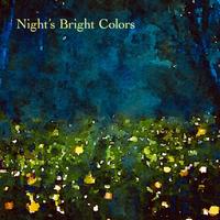 Night's Bright Colors photo