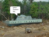 Sharks In Secret photo