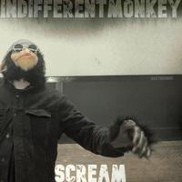 indifferentMonKeY photo
