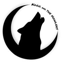 Kevin Weissman (KDog and The Howlers) photo