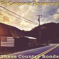 The Subjective Perspective photo