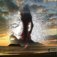 Ed Stallman photo