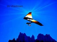 Ed Stallman photo