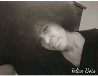 Felice Bois photo