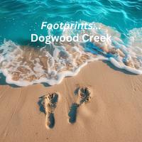 Dogwood Creek Songwriting Collective photo