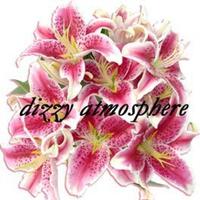 Dizzy Atmosphere photo