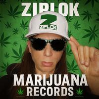Ziplok photo