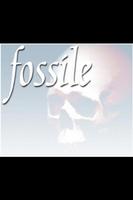 fossile photo