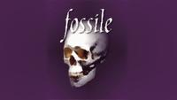 fossile photo
