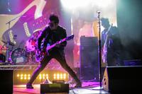 Falling Doves photo