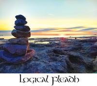 Logical Fleadh photo