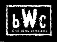 The Black Widow Conspiracy photo