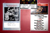 Catfish-Howl photo