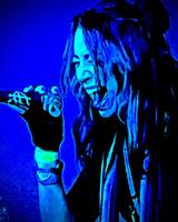 HAIVYN photo