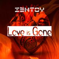 ZenToy photo