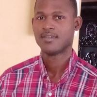 Ola Joe photo