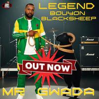 MR.GWADA ( BOUYON NATION 767) photo