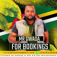 MR.GWADA ( BOUYON NATION 767) photo