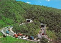 Dudu Durann photo