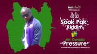 MR.GWADA ( BOUYON NATION 767) photo